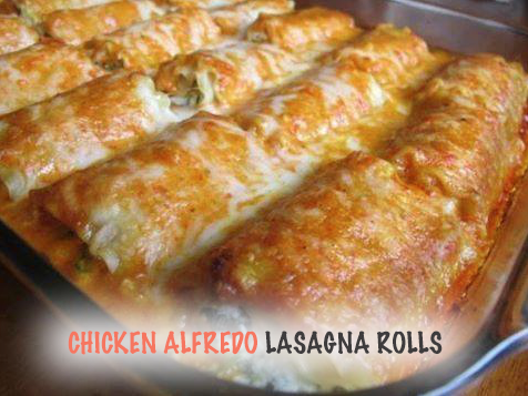 chicken Alfredo lasagna rolls