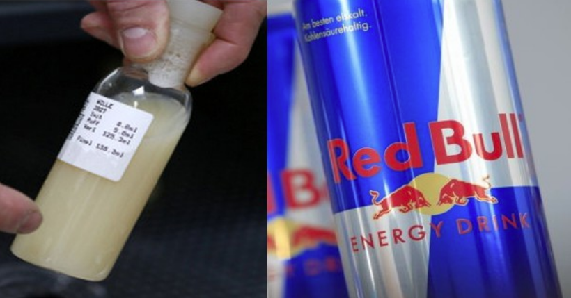 Did You Know Your Energy Drinks Contain ‘Bull Urine&Semen’