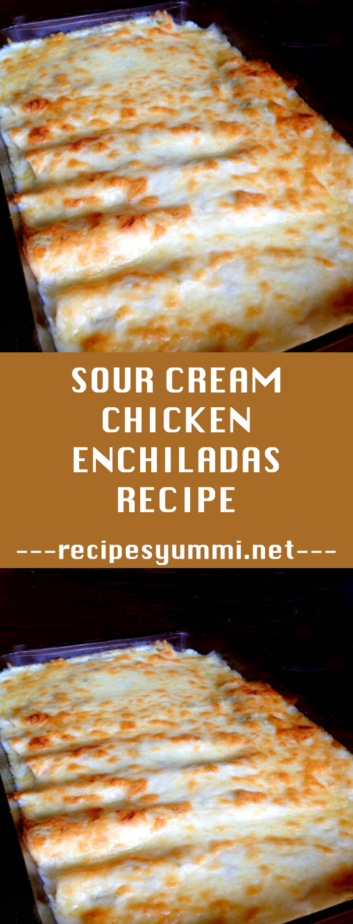 sour cream chicken enchiladas recipe