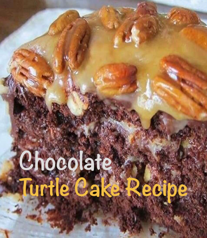 Chocolate Turtle Cake Recipe