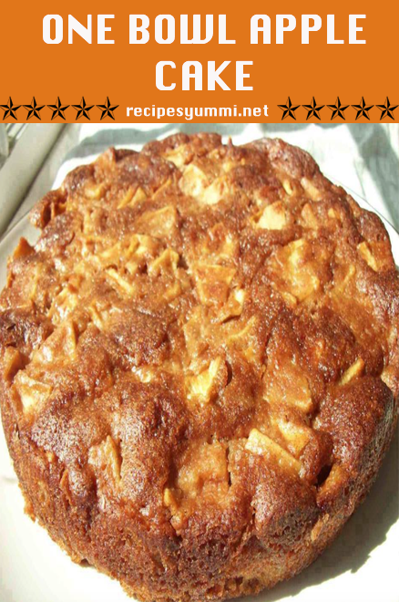 ONE BOWL APPLE CAKE – RecipesYummi