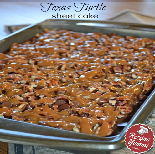 Texas Turtle Sheet Cake