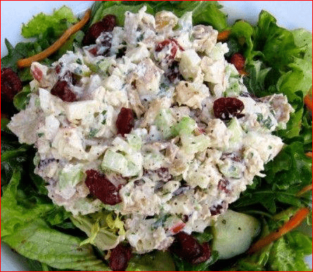 Chicken Salad with Apples and Cranberries | RecipesYummi